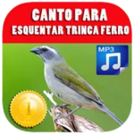 canto para esquentar trinca ferro android application logo